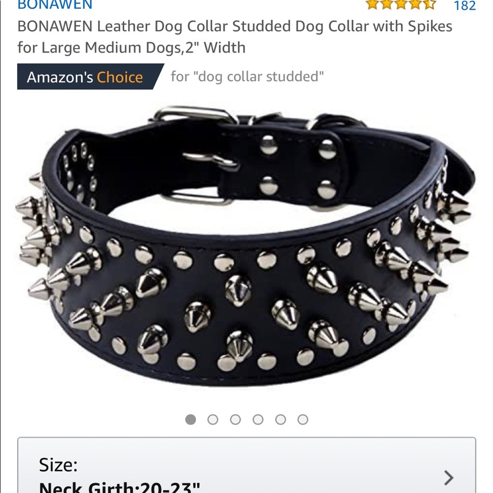 Spike dog collar
